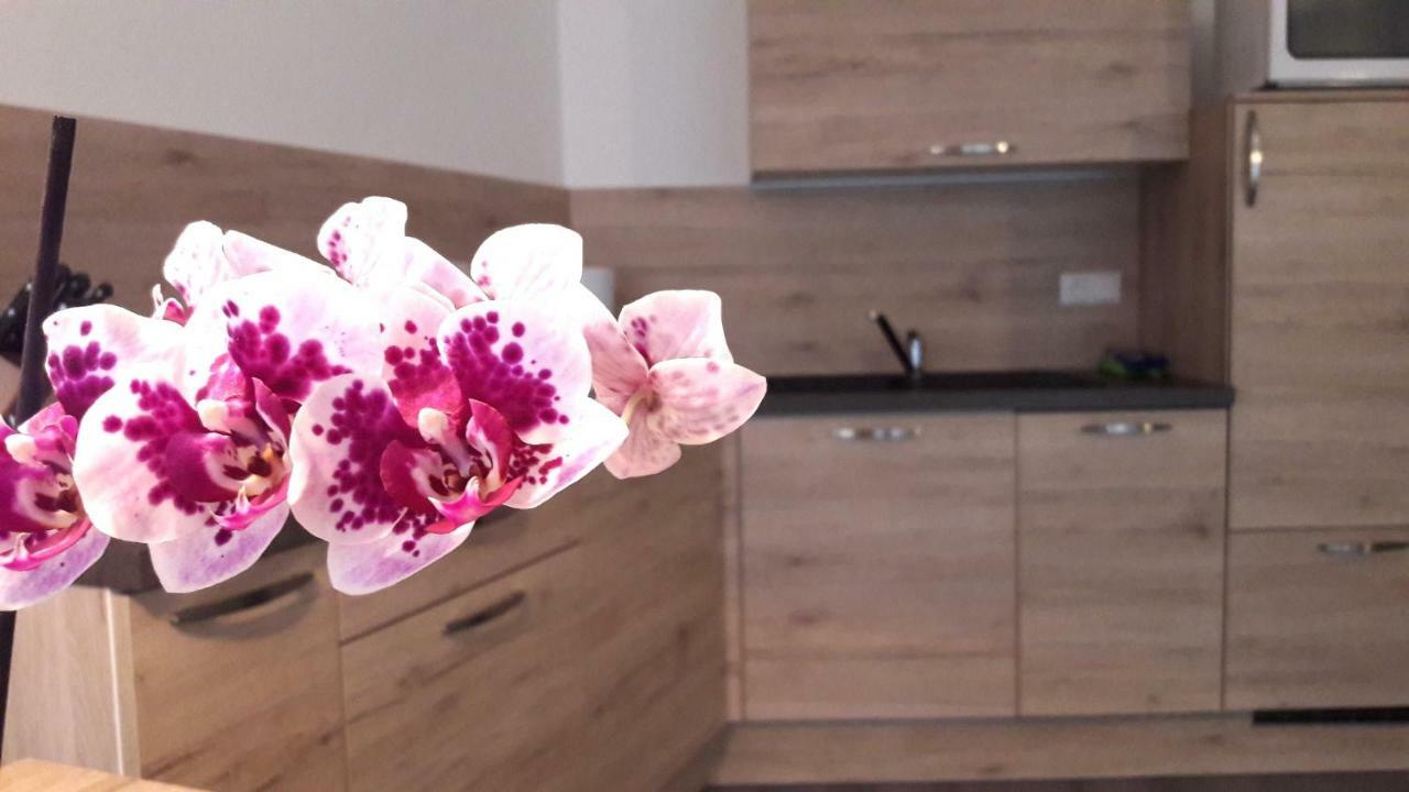 Appartment Charly Siusi Εξωτερικό φωτογραφία